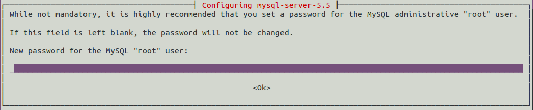 MySQL Root Password