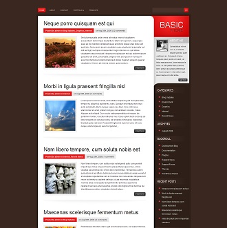 A Basic WP Theme