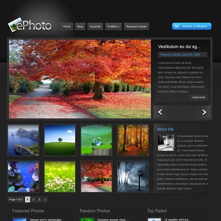 ePhoto WordPress Theme