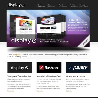 Display Business Portfolio WordPress Theme