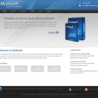 Multisoft Software WordPress Theme