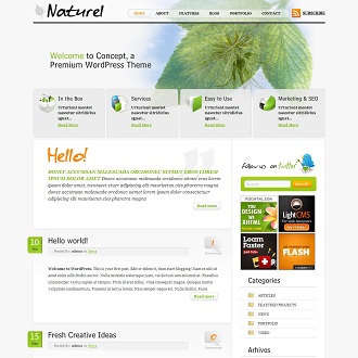 Naturel WordPress Theme