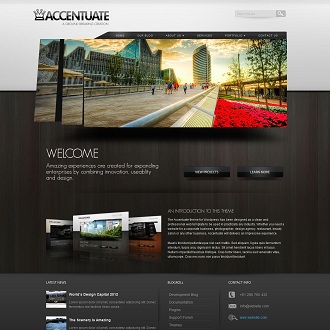 Accentuate WordPress Theme