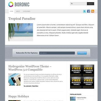 Boronic Minimal Premium Wordpress Theme (Padd Solutions)