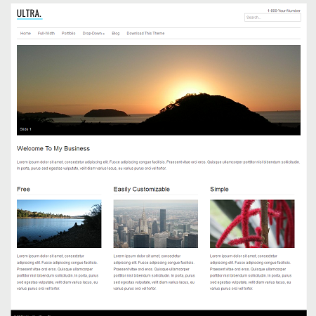Ultra Free Business WordPress Theme