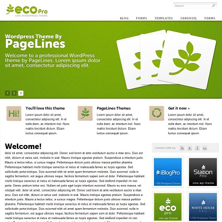 Eco Pro WordPress Theme