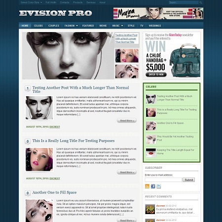 Evision Pro WordPress Theme