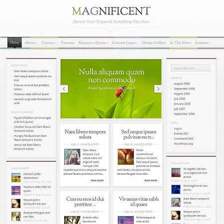 Magnificent WordPress Theme