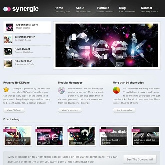 Synergie CMS WordPress Theme