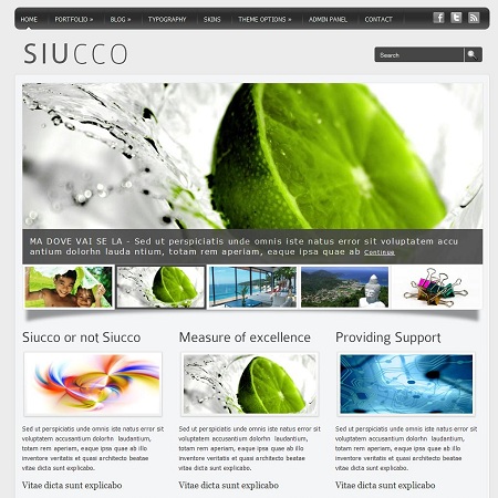 Siucco, Business, Portfolio & Blog WordPress Theme