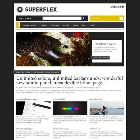 SuperFlex, Ultra Flexible WordPress Theme
