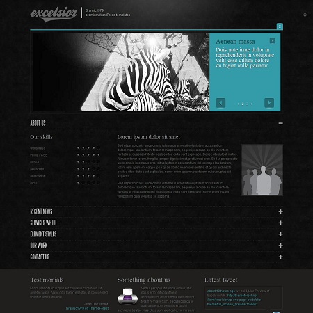 Excelsior One Page Portfolio WordPress Theme