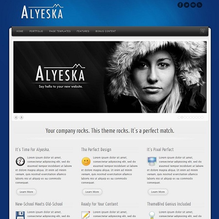 Alyeska Highly Flexible Premium WordPress Theme
