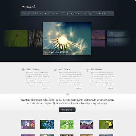 Envisioned Portfolio WordPress Theme