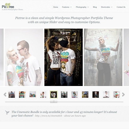 PicTree Clean Photographer WordPress Theme