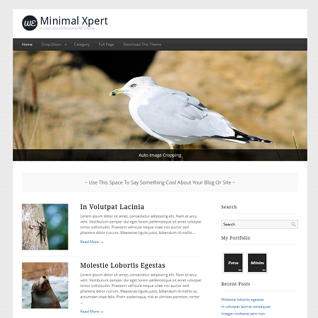 Minimal Xpert Free WordPress Theme