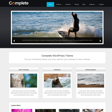 Complete Free Business & Portfolio WordPress Theme