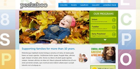 Child WordPress Theme