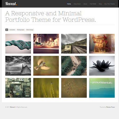 Reveal Responsive WordPress Portfolio Theme