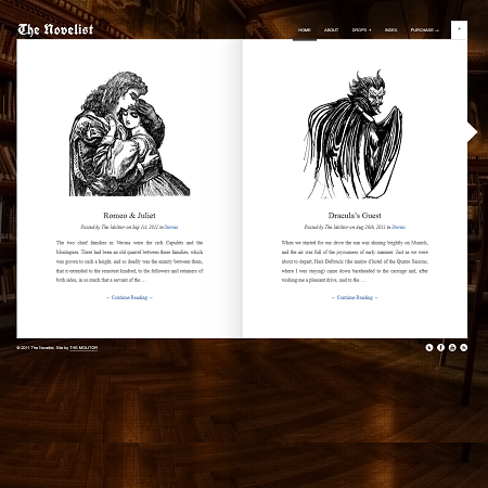 The Novelist WordPress Theme For Writters