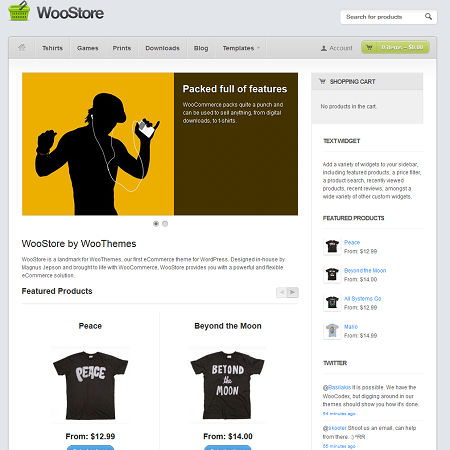 WooStore WordPress E-Commerce Theme