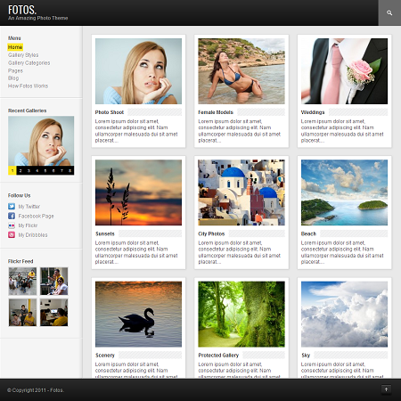 wordpress gallery theme