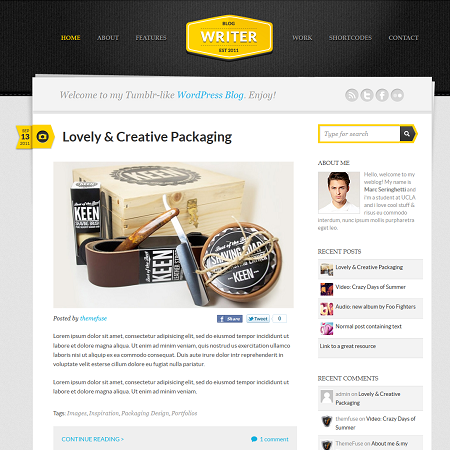 Writer Premium WordPress Theme