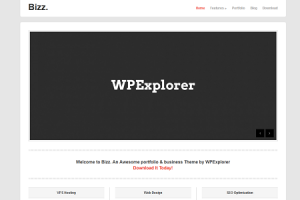 Bizz – Free Minimal Business & Portfolio WordPress Theme