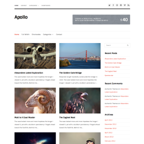 Apollo Free Blogging WordPress Theme
