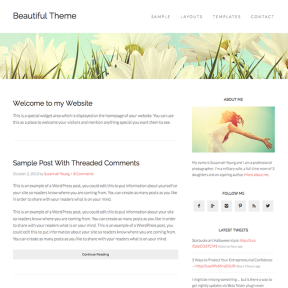 Beautiful Blogging WordPress Theme