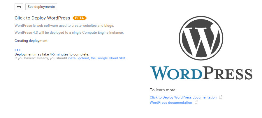 google-cloud-wordpress-013-wordpress setting up