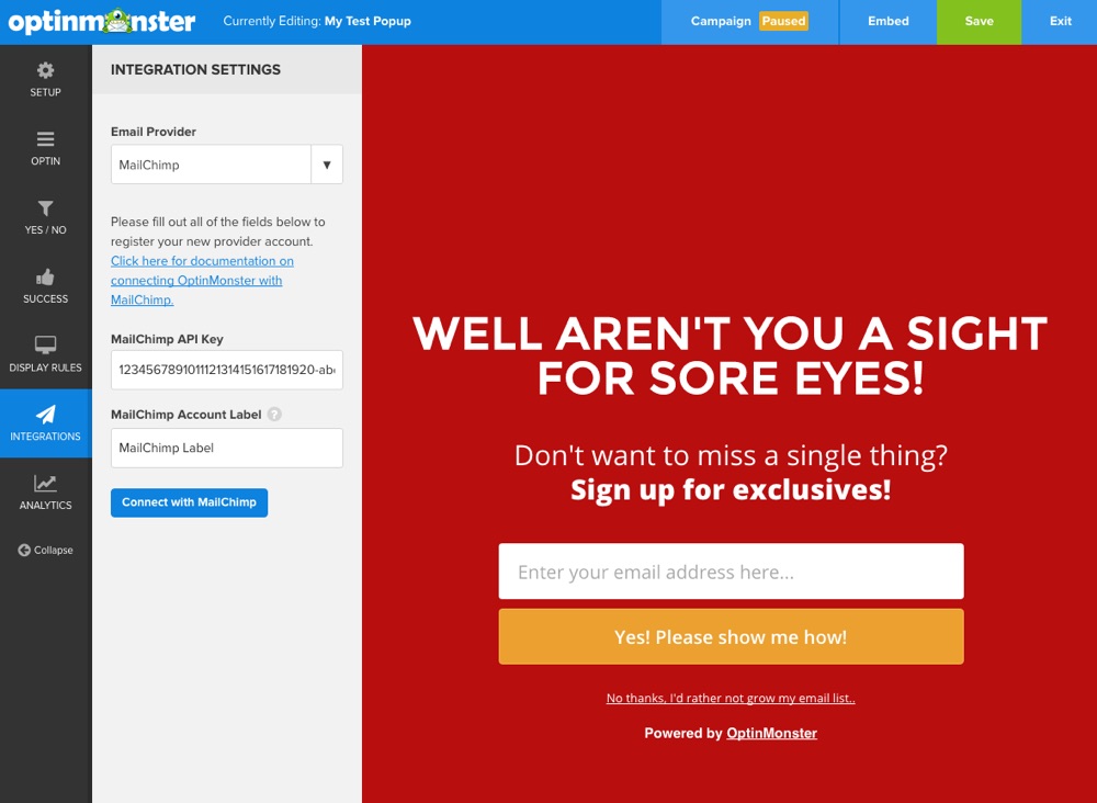 OptinMonster Add MailChimp API Key