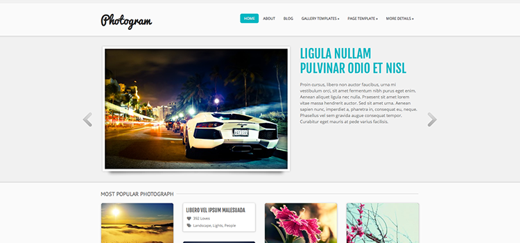 photogram-pinterest-wordpress-theme