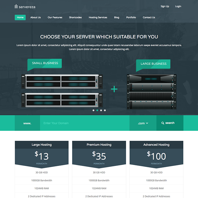 servereza-hosting-wordpress-theme.png