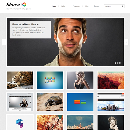 wordpress gallery theme