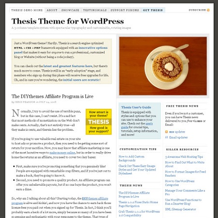 How to use thesis theme for wordpress