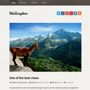 Wellington Travel Blog WordPress Theme