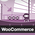 WooComerce WordPress Plugin
