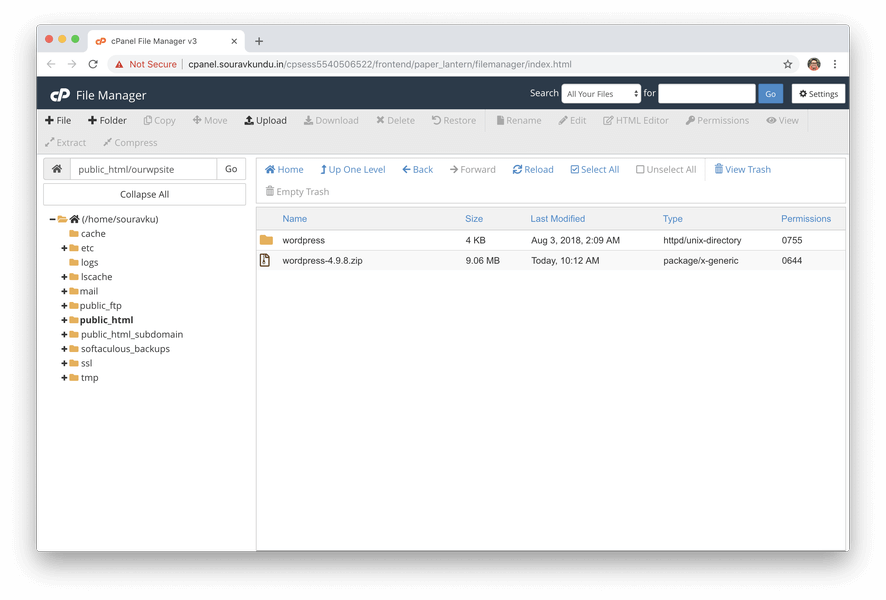 wordpress files extracted in cpanel