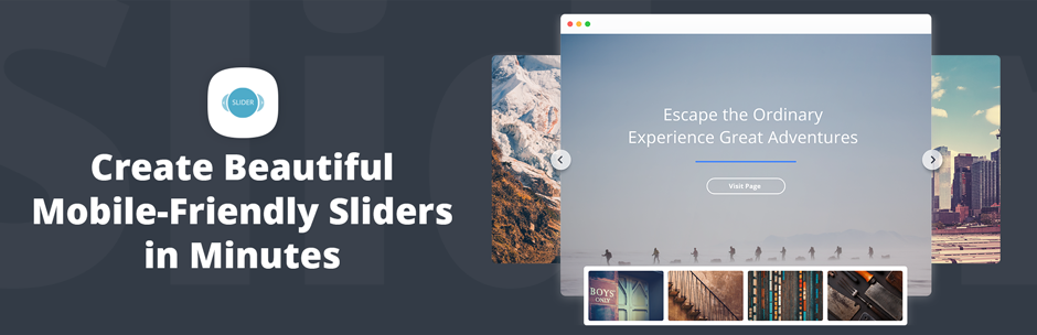 10Web Slider