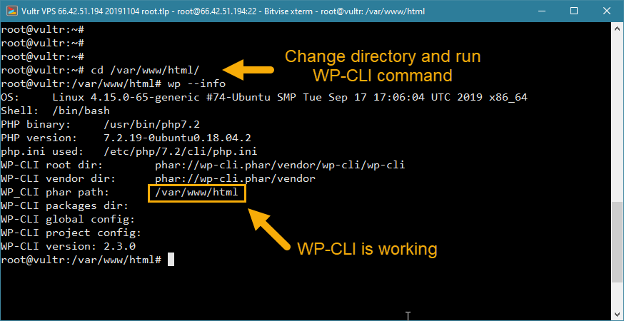 install wp-cli wordpress vps installation check working