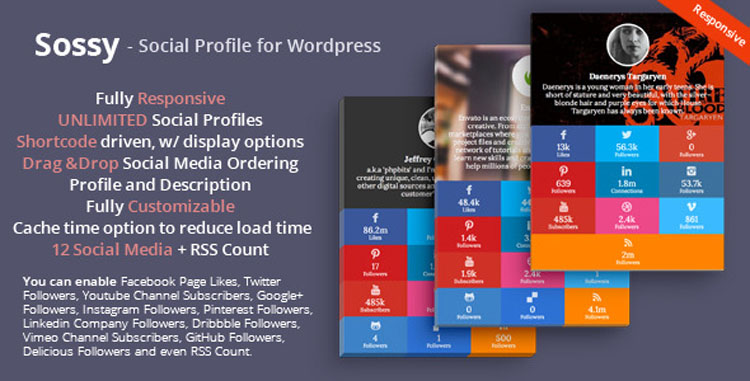 Social Media WordPress Plugins to Increase Traffic - WPExplorer