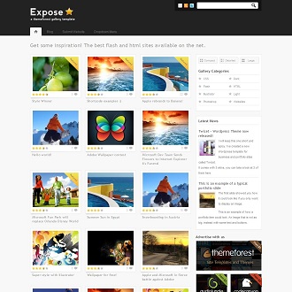 display wordpress theme