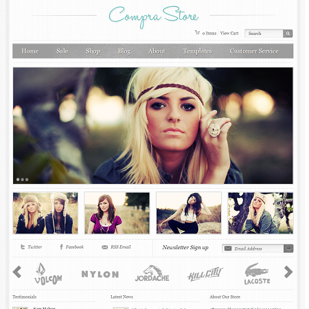 ecommerce themes