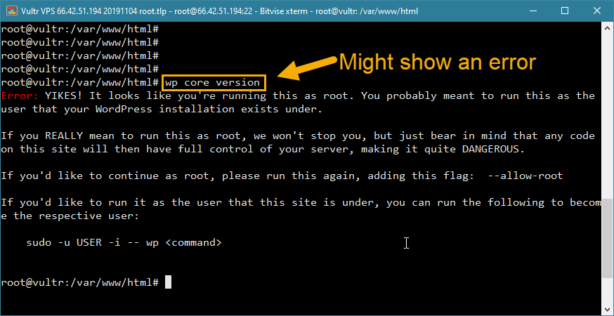 wp-cli root access error wordpress vps