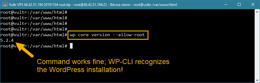 wp-cli root access error solution wordpress