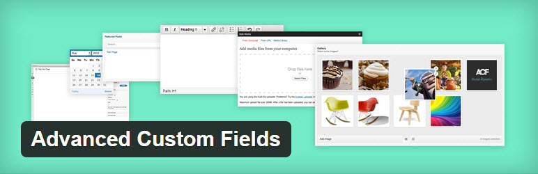 38 advanced custom post fields wordpress plugin 2016 wpexplorer