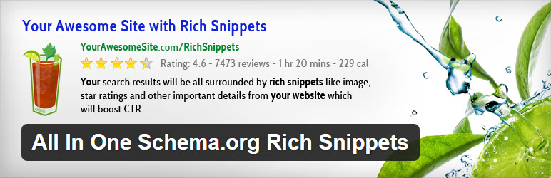 41 All In One Schema.org Rich Snippets wordpress plugin 2016 wpexplorer