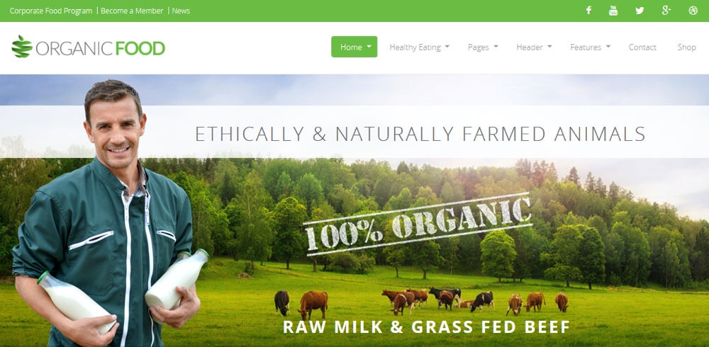 Organic Food Eco WordPress Theme