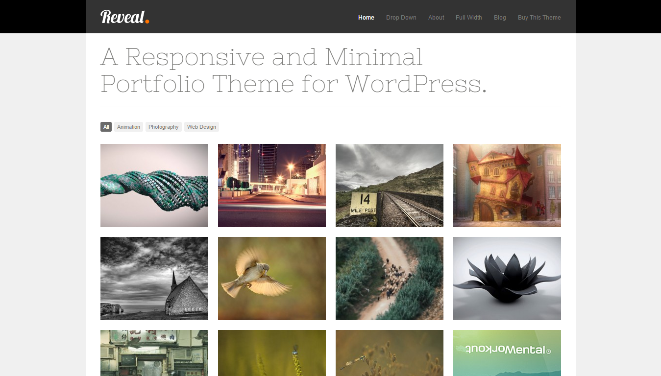 Reveal Responsive Porfolio Premium WordPress Theme